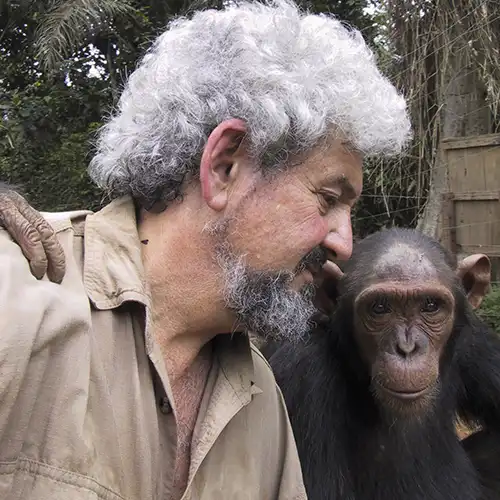 Anthony Rose With Chimpanzee Image