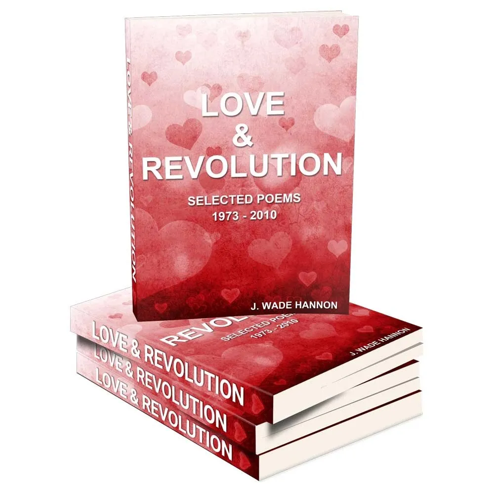 The Love Revolution book cover