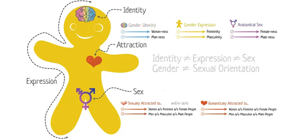 gender-identity-featured