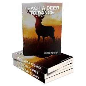 The Teach Deer to Dance book cover