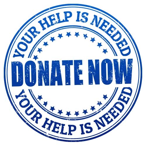 A Donate Now Banner in Blue Color on a White Background