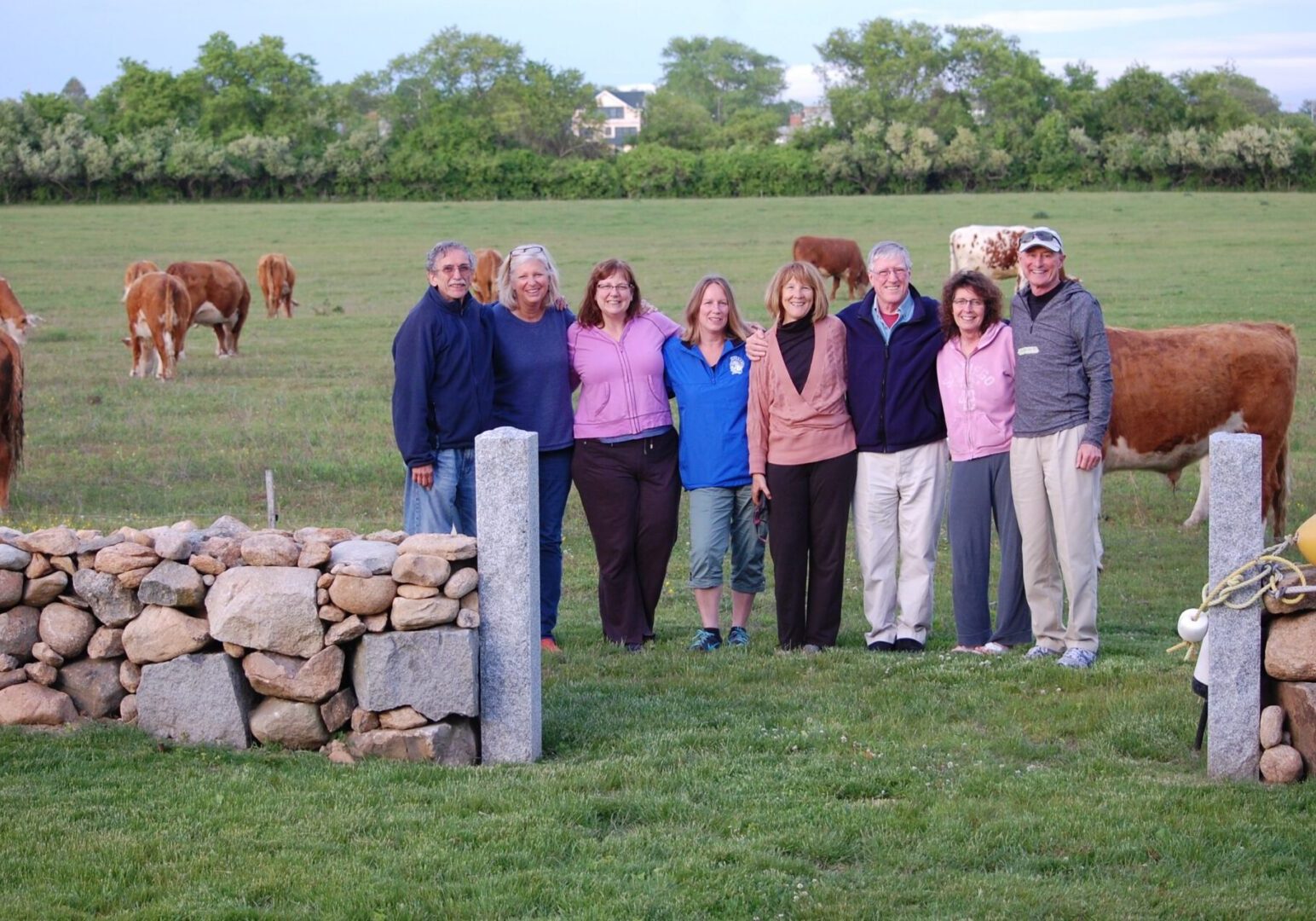 A group of people standing in a field with cows.